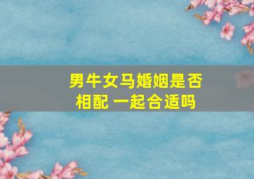 男牛女马婚姻是否相配 一起合适吗